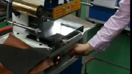 Impresora de superficie plana Tipo de placa y uso de impresora de papel Máquina de estampación en caliente